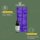 thumbnail image 5 of Compresa térmica de Semillas Naturalness para columna vertebral Aceite Descanso Profundo 30 ml, 5 of 5