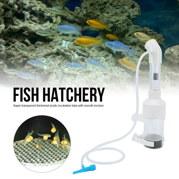 AQ50025 Incubator Fish Hatchery, Aquarium Incubator, Short for Fish Tank Aquarium