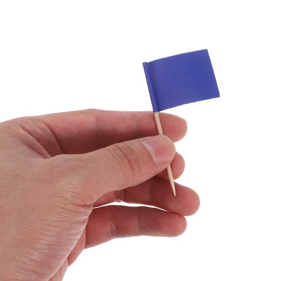 Homoyoyo 100Pcs Blue Cupcake Flag Toppers and Cheese Markers for Wedding Party Decor
