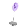 thumbnail image 4 of Organizador de modelos de orejas de silicona, soporte de exhibición de aretes reutilizable para partes del cuerpo. Púrpura a la izquierda, 4 of 9