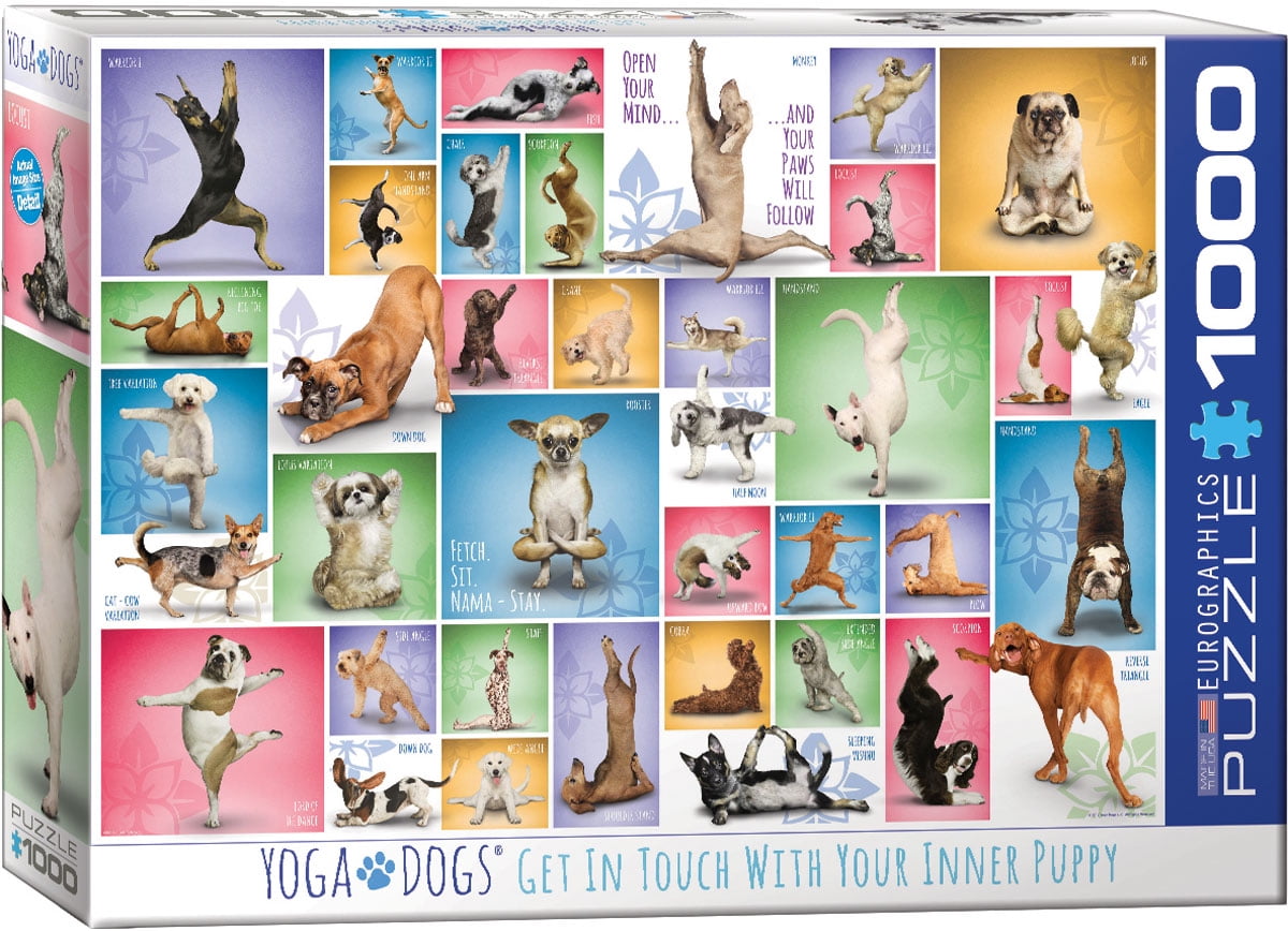 Dogs /& Cats Yoga Studio Jigsaw Puzzle 300 PC Eurographics Kittens Puppies Pets for sale online
