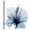 Canvas, variant on Art.com Indigo Hibiscus Art Print by Albert Koetsier, 16" x 16"
