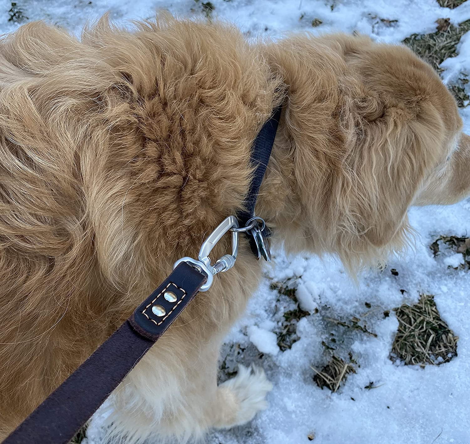 Enthusiast Gear Leather Dog Leash with Locking Carabiner | Strong and Soft Leash for Large and Medium Dogs | 6 Ft Long x ¾”