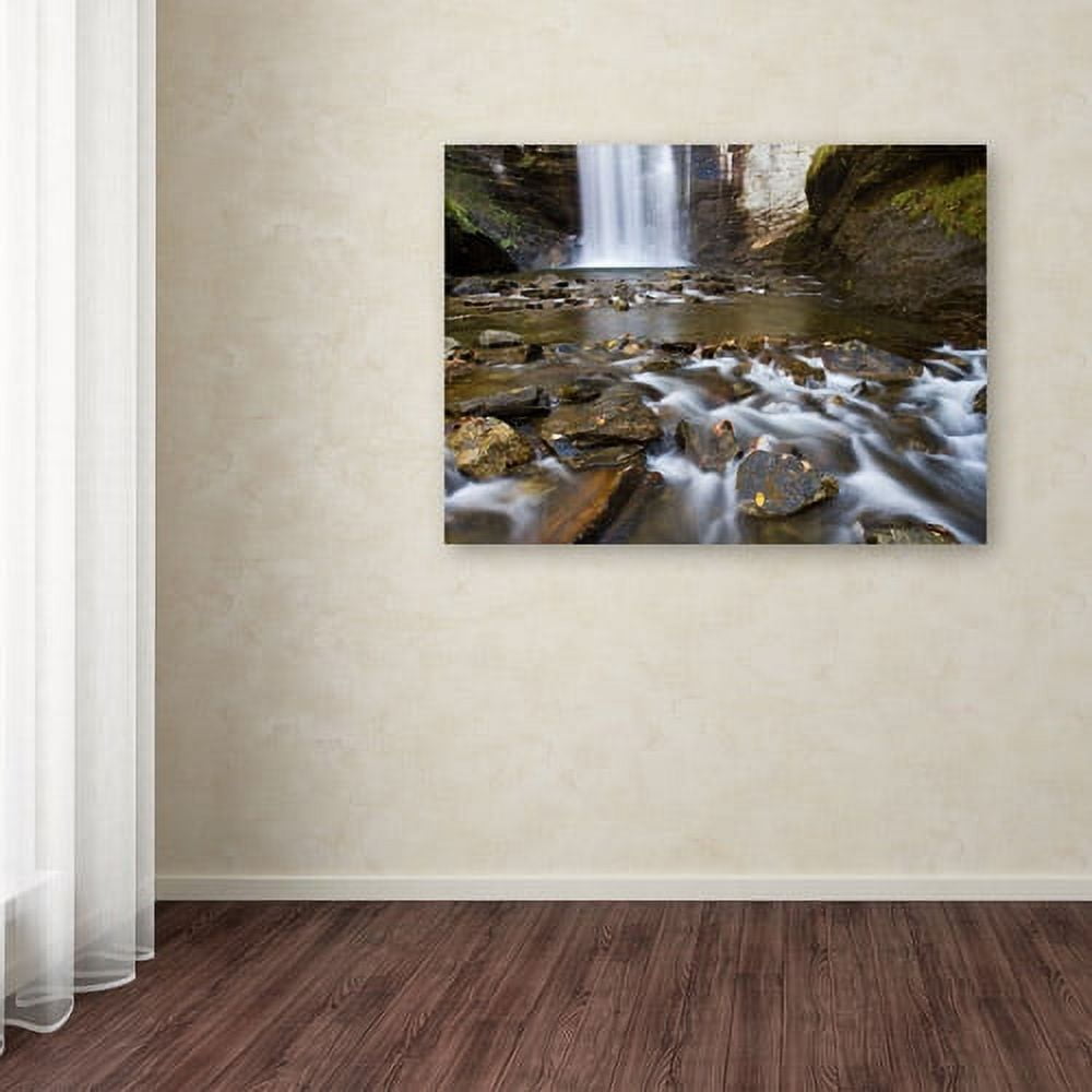 Trademark Fine Art "Looking Glass Falls" Canvas Art by Pierre Leclerc