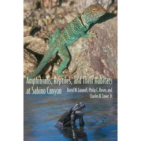 Amphibians, Reptiles, And Their Habitats at Sabino Canyon