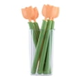thumbnail image 4 of Creative Tulip Shaped Bag Clips Set of 5 with Magnetic Storage Box Colorful Kitchen Snack Sealing Clips for Food Freshness,ABS Material,Yellow Pink Orange, 4 of 7
