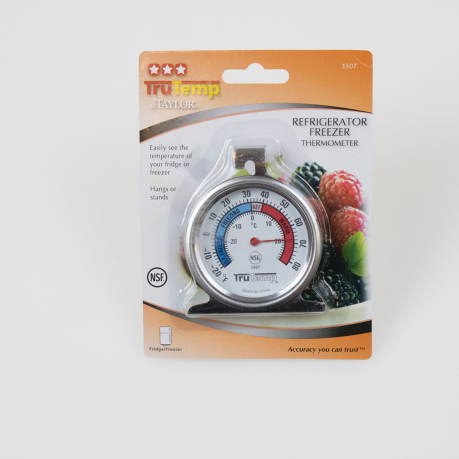 Everyday Living® Refrigerator Thermometer - Silver, 1 ct - Kroger