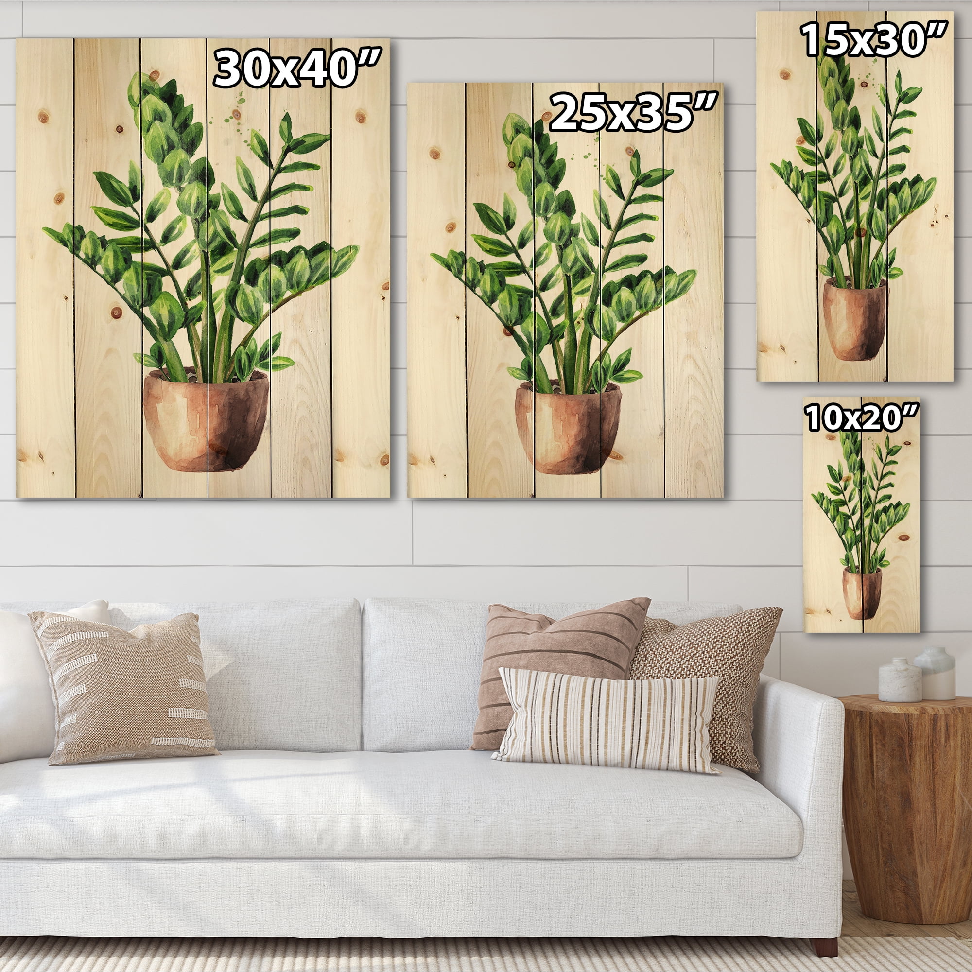 Designart 'Zamioculcas Tropical Plant With Green Leaves On White' Traditional Print on Natural Pine Wood