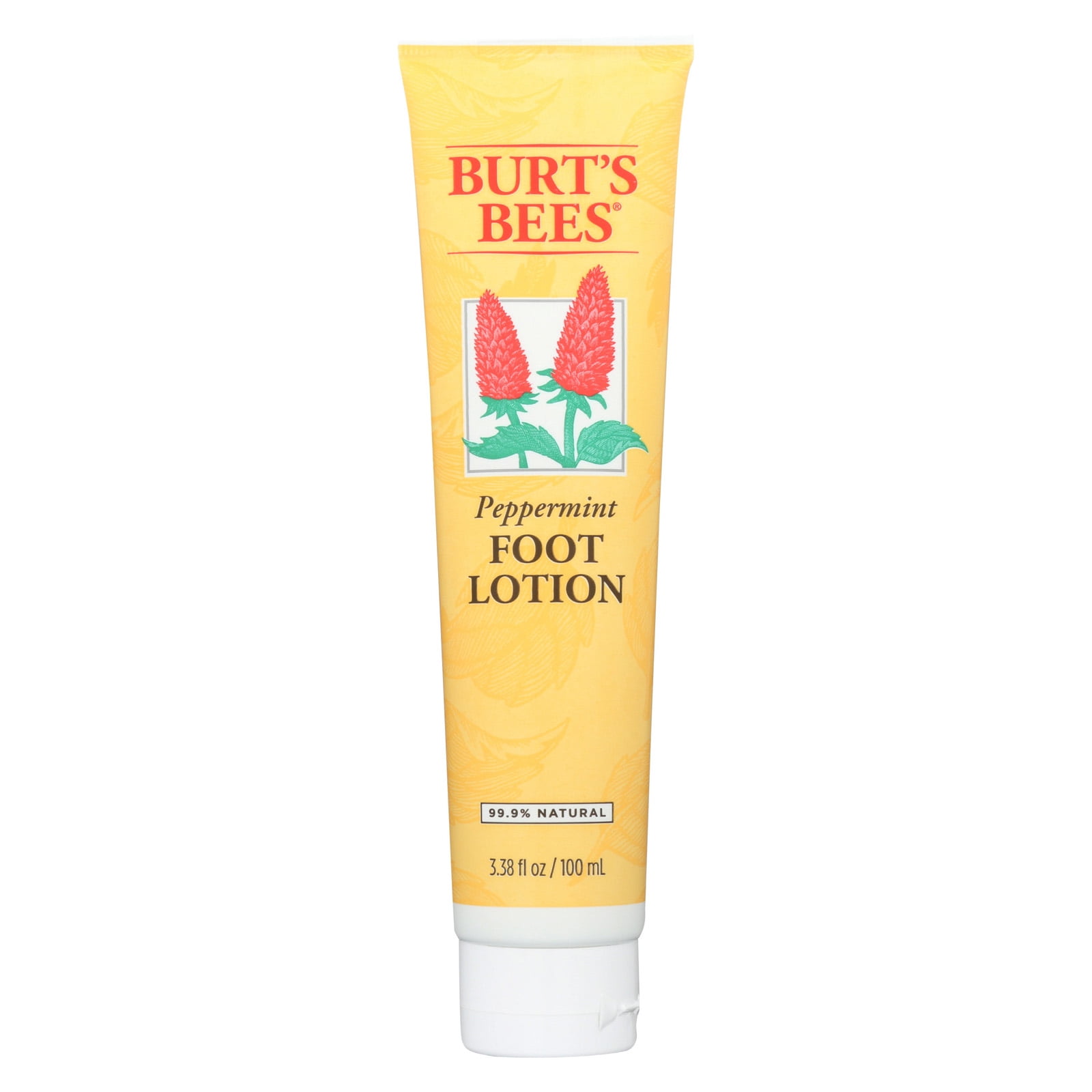Burts Bees Foot Lotion Peppermint 3.4 fl oz