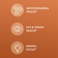 thumbnail image 4 of Dr. Mercola Curcumin Advanced - 500 mg Curcumin Root Extract - 95% Curcuminoids - For Vision Health, Digestion & Focus - Non-GMO, Gluten-Free & Soy-Free - 30 Capsules (30 Servings), 4 of 7