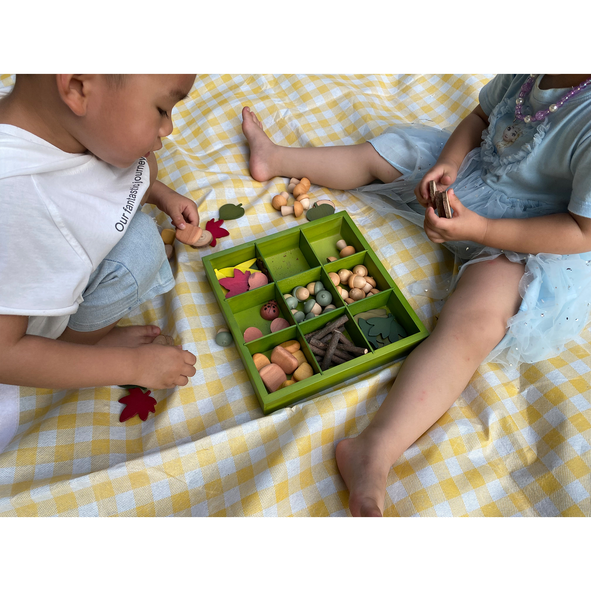 The Freckled Frog Nature's Sorting Box