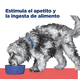 thumbnail image 2 of Hill's Canino Onc 2.7 Kg Original Sellado, 2 of 3