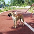 thumbnail image 3 of Correa para perros Cuerda para mascotas Entrenamiento fuerte Tráfico Correa para caminar para cachorros, 3 of 5