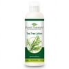 Plant Therapy Tea Tree (Melaleuca) Lotion 8 oz Made w/ Pure Essential Oils