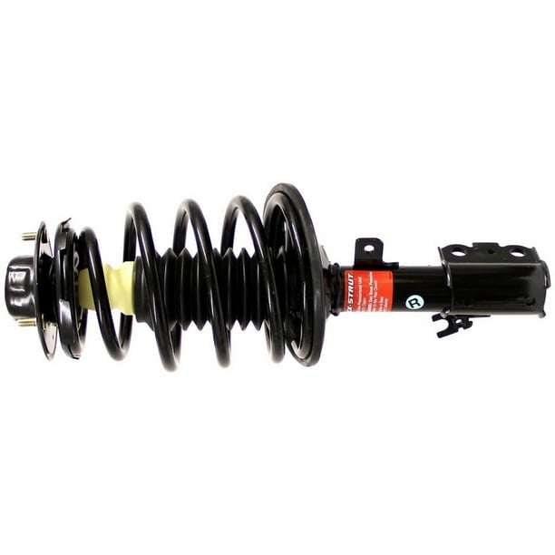 Suspension Strut and Coil Spring Assembly