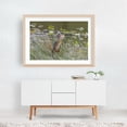 thumbnail image 6 of Heron Catches Carp on a Lake in PA - Pennsylvania Photography Wildlife Bird Fishing Nature Animal Lake Scenic Unframed Wall Art Print 40 x 60 inches, 6 of 7