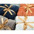 thumbnail image 5 of Chanasya Soft Faux Fur Embossed Throw Blanket - Solid Color Fuzzy Double Layered Super Soft Cozy Plush Elegant Throw - for Bed Couch and Living Room (50x65 Inches) Teal Blanket, 5 of 7