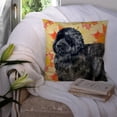 thumbnail image 3 of Carolines Treasures BB9932PW1414 Newfoundland Fall Fabric Decorative Pillow  14Hx14W multicolor, 3 of 4