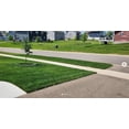 thumbnail image 2 of Twin City Seed Co. Sun & Shade, Tall Fescues, Fine Fescues, Bluegrass, and Perennial Ryegrass Mixture, 3 lb Bag, 2 of 6