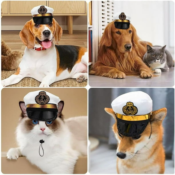 Dog sailor hat hotsell