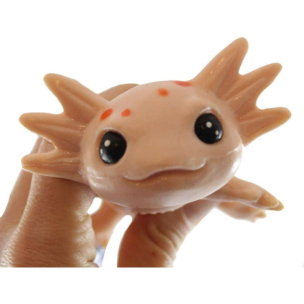 fidget toys stretch
