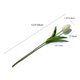 thumbnail image 2 of Tulipanes artificiales Mandy's Cream, flores sintéticas de poliuretano, 20 tallos, 2 of 9