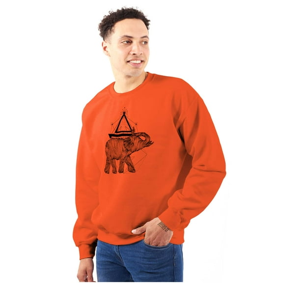 Spiritual Animal Elephant Triangle Unisex Plus Fleece Graphic Sweatshirt Brisco Brands 2X
