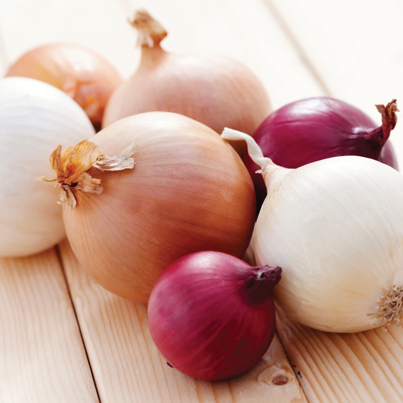 Van Zyverden Onion Harvest Blend Sets Dormant Bulb GMO Free Full Sun; 6+ hrs, Multi-Color