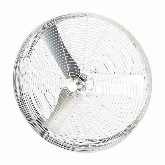 Dayton Air Circulator ,36" Dia.,208-230/460V 36B8WT-G