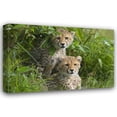 thumbnail image 1 of Susann Parker 18x13 Gallery Wrapped Canvas Wall Art Titled - Concealed, 1 of 4