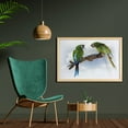 thumbnail image 2 of Parrot Wall Art with Frame, 2 Parrot Macaw on a Branch Talking Birds Clever Creatures of the Nature, Printed Fabric Poster for Bathroom Living Room, 35" x 23", Green White Brown, by Ambesonne, 2 of 2