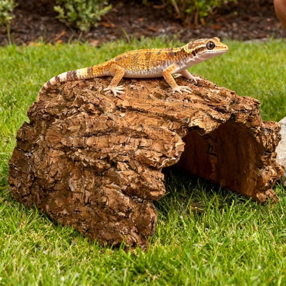 Ksruee Toad House Resin Cave Shelter Tortoise Shelter for Bearded Dragon Leopard Turtle Frog Geckos Reptiles Amphibians Aquarium Tank everybody