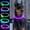 Purple, variant on Light Up Dog Collars, Single-Color USB Rechargeable Dlitk LED Dog Collar 1 Count, TPU Cuttable Size Glow Collar for Dogs, Dog Collar Light, Please Do Not Use Fast Charging