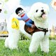 thumbnail image 1 of Dog Costumes Pet Costume Pet Suit Cowboy Rider Style (Medium), 1 of 1