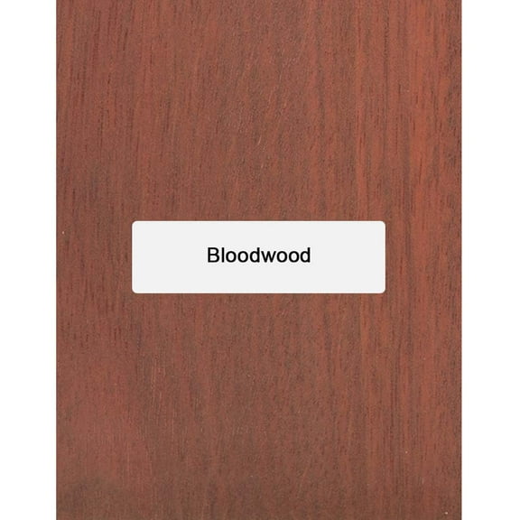 Bloodwood Knife Wood Blanks/Knife Scales 5" x 1-1/2" x 1" (1 Piece) - Elevate Your Craftsmanship with Exotic Wood Knife Blanks