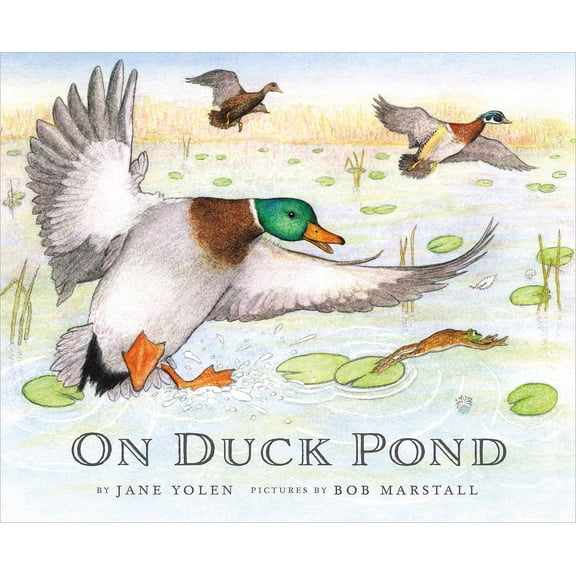 On Bird Hill and Beyond On Duck Pond, Book 2, (Paperback)