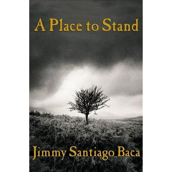 A Place to Stand (Paperback)