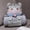 A003Color E, variant on panda mascot plush blanket, cartoon panda decor pillow blanket, 1pc soft fleece throw blanket for napping travel sofa couch, 39.4in x 66.9in cute animal themed cozy blanket for kids and adults