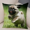 thumbnail image 5 of Cute Pug Dog Cushion Cover Both Sided Print Decor Pet Animal Pillowcase for Car Sofa Home Car Soft Plush Throw Pillow Case, 5 of 9