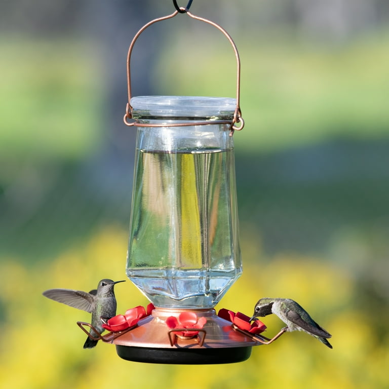 Perky-Pet Starglow Decorative Glass Hummingbird Feeder 16