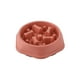 thumbnail image 1 of Plato De Alimentación Xtellar rosa Lenta Para Perro Mascota Comederos, 1 of 5