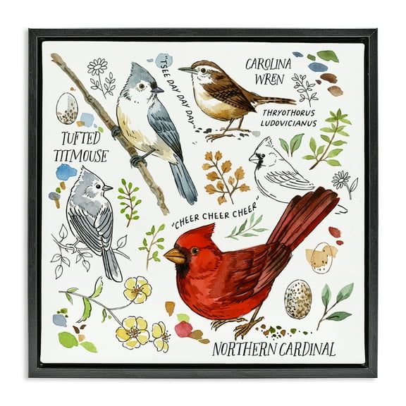 Stupell Industries Bird Watching Chart Animals Painting Black Floater Framed Canvas Art Print Wall Art, 18 x 18