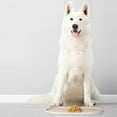 thumbnail image 5 of DogBuddy Dog Food Mat - Waterproof Dog Bowl Mat, Silicone Dog Mat for Food and Water, Pet Food Mat with Edges, Nonslip Dog Feeding Mat, Dog Food Mats for Floors (Small, White Sand), 5 of 8