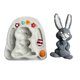 thumbnail image 4 of 3D Easter Bunny Egg Silicone Mold Fondant Plaster Chocolate Mould Supplies, 4 of 4