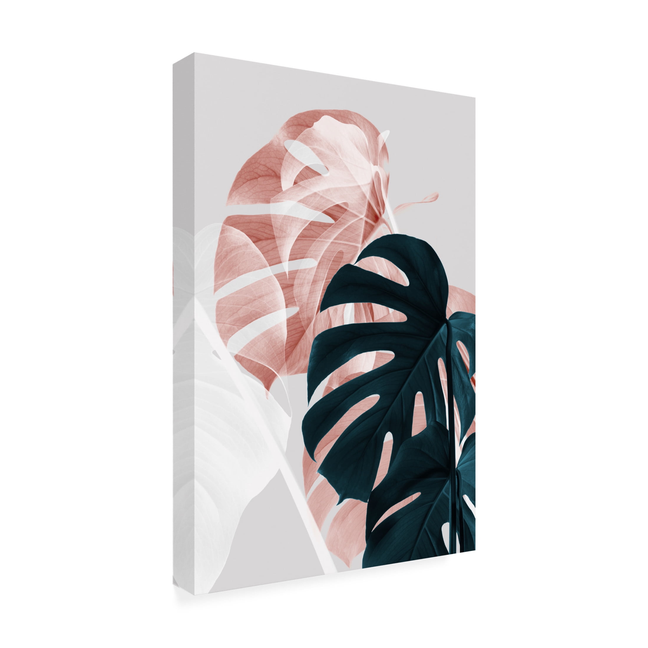 Trademark Fine Art Pictufy Studio Monstera Creative 09 Canvas Wall Art