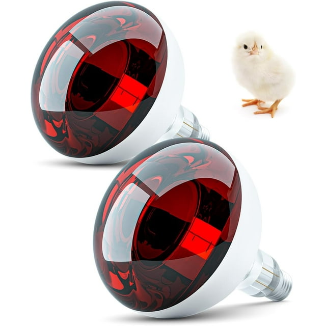 Heat Lamp V Watt Heat Lamp Bulbs R Clear Infra Heat Light Bulb for Bathroom Heat Lamp Bulb for Reptiles Chickens Food Puppies Bathroom Use E Base