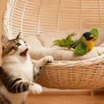 thumbnail image 6 of WD-Forest Interactive Hanging Bird Cat Toys with Chirping Sound Interactive Flying Bird Toy Set for Indoor Cats Door Hanging Kitten Exercise Play Blue, 6 of 7
