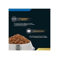 thumbnail image 3 of Perfect Sense Adulto Raza Mediana y Grande 8 Kg, 3 of 3