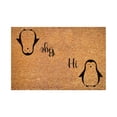 thumbnail image 1 of Door Mats Outdoor Entrance Spring Natural Coir Door Mat Doormats Outdoor Waterproof Spring Rug Outdoor All-Weather Heavy Duty Doormat Mats for Entrance High Traffic Areas Entry, 16x24 Inch Hi Bye, 1 of 7