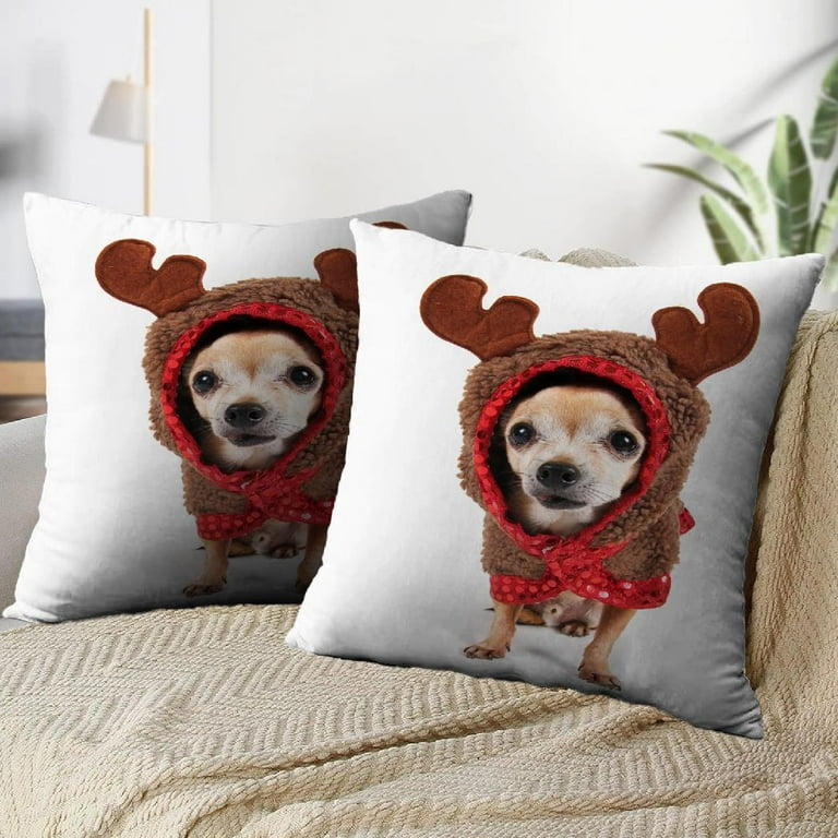LALILO Throw Pillow Covers Cute Chihuahua Christmas Card Funny